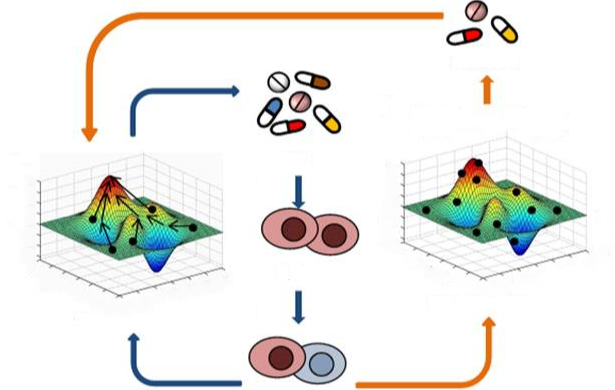 Multiplexed Ion Beam Imaging